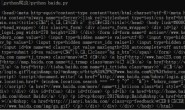 【Python “偷懒”入门专栏】和web聊天